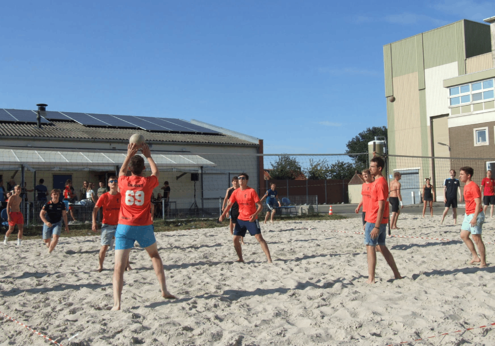 Volleybal